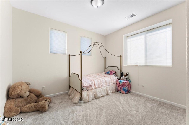 754 Gray Hawk Dr, Dayton, NV 89403 - photo 18