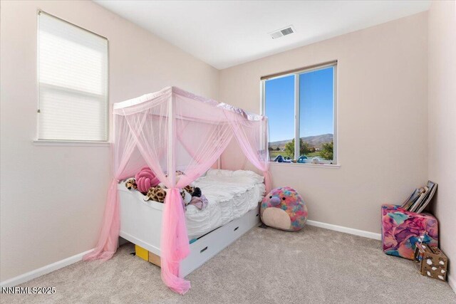 754 Gray Hawk Dr, Dayton, NV 89403 - photo 20