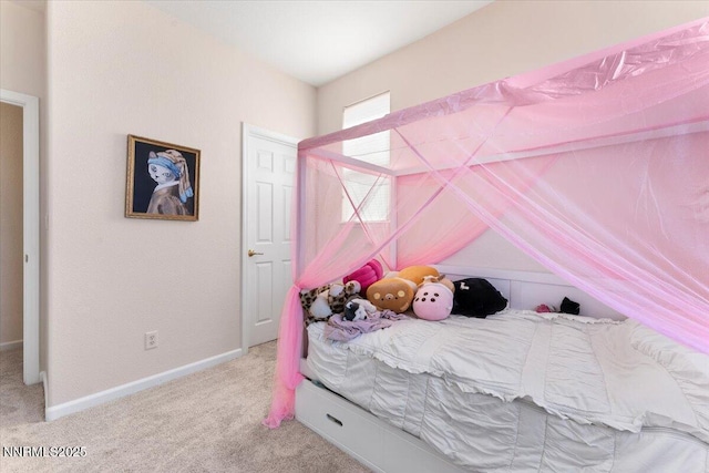 754 Gray Hawk Dr, Dayton, NV 89403 - photo 21