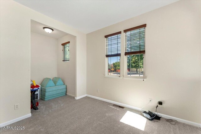 754 Gray Hawk Dr, Dayton, NV 89403 - photo 25