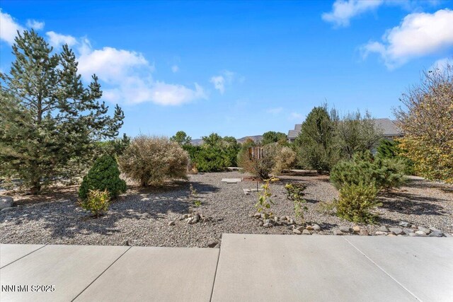 754 Gray Hawk Dr, Dayton, NV 89403 - photo 28