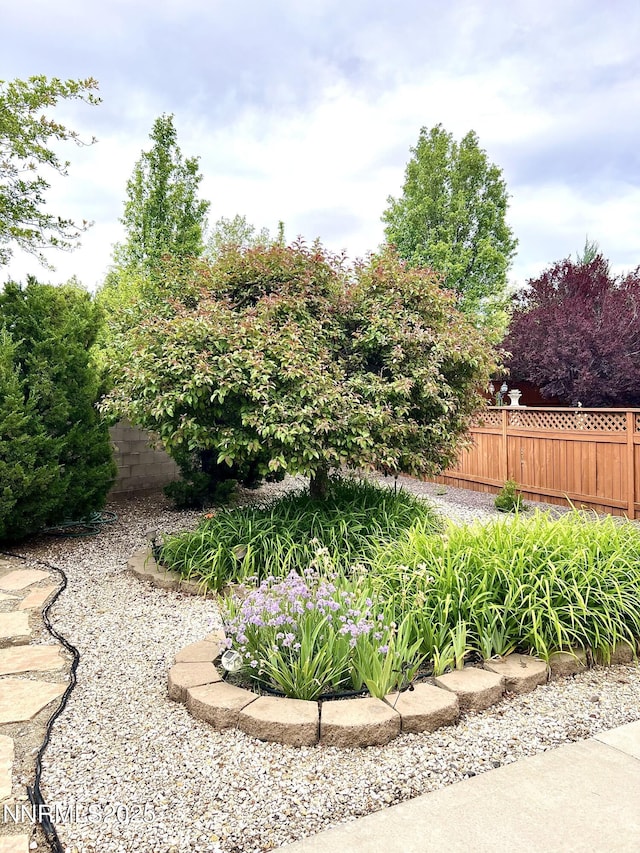 2210 Meritage Dr, Sparks, NV 89434 - view of yard