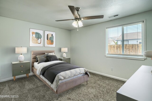 519 Rawe Peak Dr, Dayton, NV 89403 - photo 21