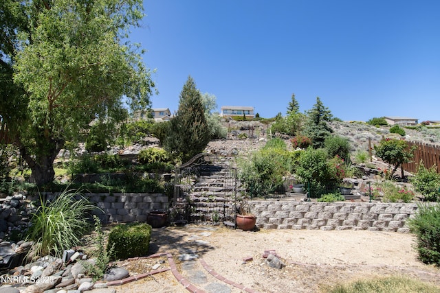 979 University Ridge Dr, Reno, NV 89512 - view of yard