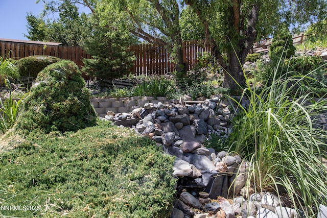 979 University Ridge Dr, Reno, NV 89512 - view of yard