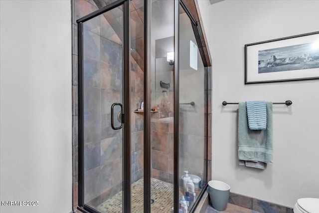 458 Center St, Zephyr Cove, NV 89448 - bathroom with toilet and a shower stall