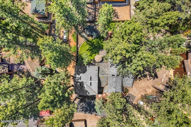 458 Center St, Zephyr Cove, NV 89448 - drone / aerial view