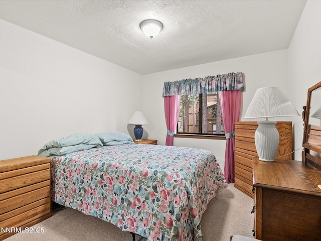 178 Tahoma Cir Unit B, Zephyr Cove, NV 89448 - bedroom with carpet and a textured ceiling