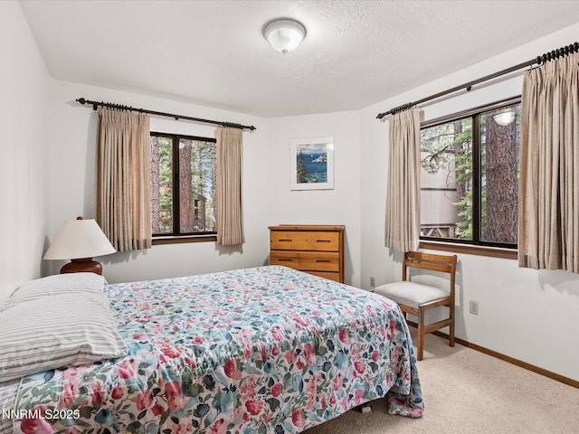 178 Tahoma Cir Unit B, Zephyr Cove, NV 89448 - carpeted bedroom with multiple windows