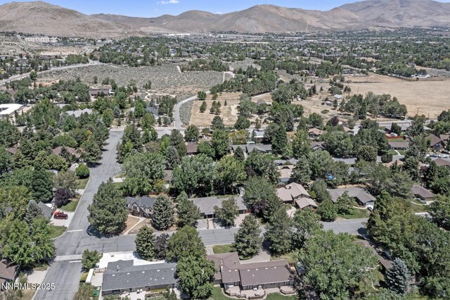 1950 Maison Way, Carson City, NV 89703 - photo 6
