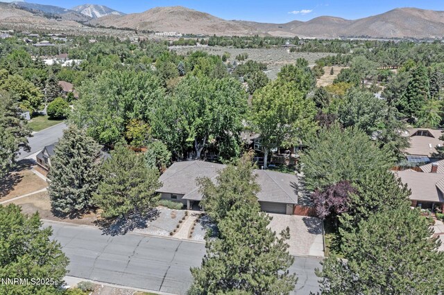 1950 Maison Way, Carson City, NV 89703 - photo 5