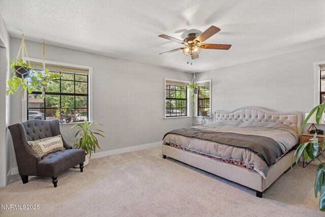 1950 Maison Way, Carson City, NV 89703 - photo 28
