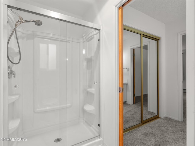 189 Ray Way, Zephyr Cove, NV 89448 - full bath with a stall shower and a textured ceiling