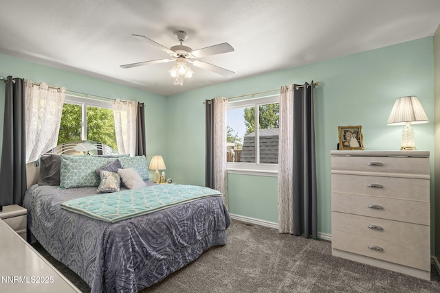 610 Hunter Park Way, Fallon, NV 89406 - carpeted bedroom with multiple windows and a ceiling fan