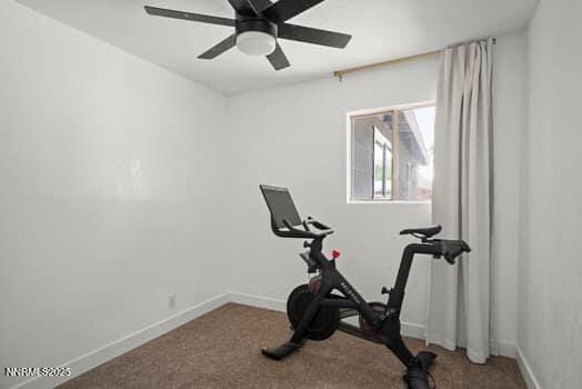 1203 Stanford Way, Sparks, NV 89431 - exercise area with a ceiling fan and carpet