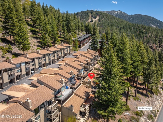 400 Fairview Blvd Unit 20, Incline Village, NV 89451 - bird's eye view of a heavily wooded area and a mountain backdrop