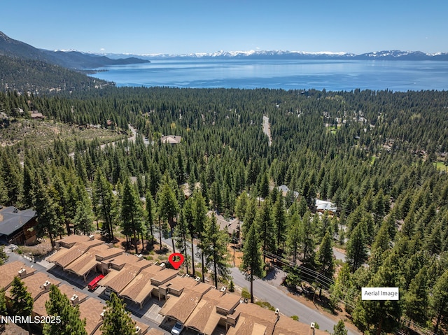 400 Fairview Blvd Unit 20, Incline Village, NV 89451 - view of property location with a heavily wooded area and a water and mountain view