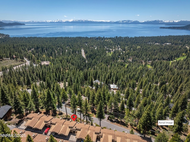 400 Fairview Blvd Unit 20, Incline Village, NV 89451 - aerial view of a forest and a water and mountain view