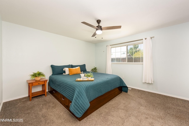1167 Lindsay Ln, Carson City, NV 89706 - photo 9