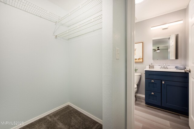 1167 Lindsay Ln, Carson City, NV 89706 - photo 11