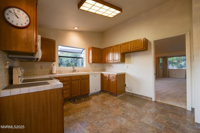2028 Hamilton Ave, Carson City, NV 89706 - photo 34