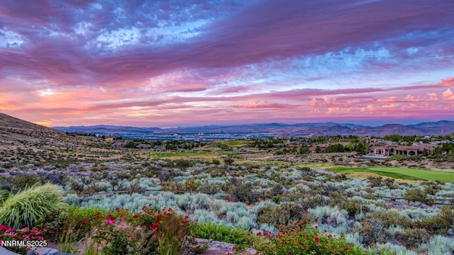 5945 Flowering Sage Ct, Reno, NV 89511 - photo 40