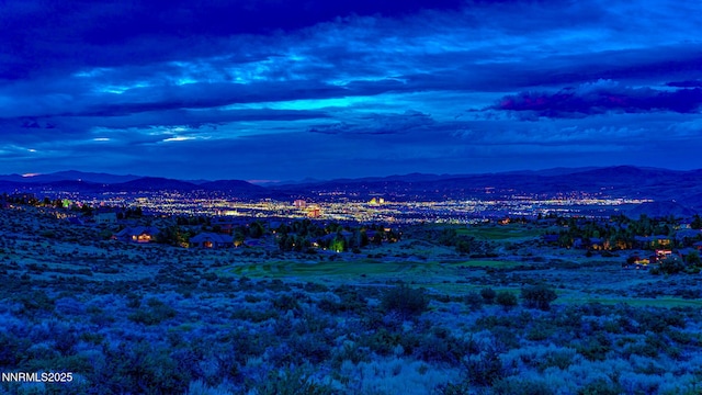 5945 Flowering Sage Ct, Reno, NV 89511 - photo 41