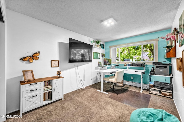 700 Highland St, Carson City, NV 89703 - carpeted office featuring a textured ceiling and a baseboard radiator