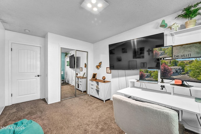 700 Highland St, Carson City, NV 89703 - office area featuring carpet and a textured ceiling