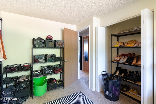 3189 Shriver Dr, Carson City, NV 89701 - photo 14