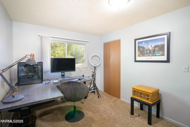 3189 Shriver Dr, Carson City, NV 89701 - photo 12