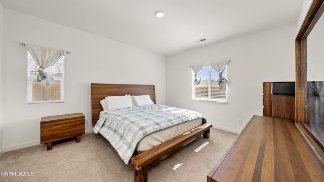 805 Natalie Ln, Fernley, NV 89408 - photo 11