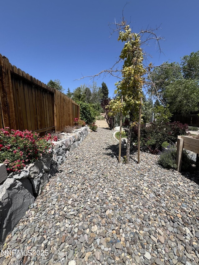 6559 Fall River Cir, Reno, NV 89523 - view of yard