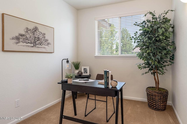 7436 Baysheen Ct, Sparks, NV 89436 - office area with carpet flooring and baseboards