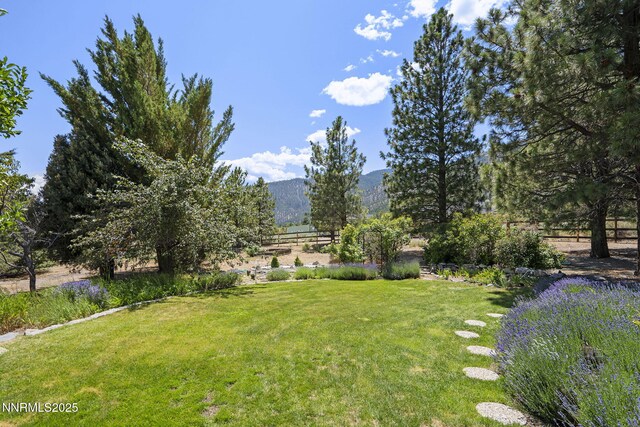 2548 Jacks Valley Rd, Genoa, NV 89411 - photo 37