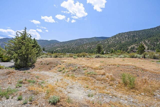 2548 Jacks Valley Rd, Genoa, NV 89411 - photo 38