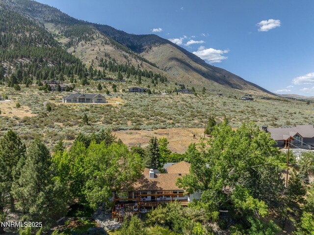2548 Jacks Valley Rd, Genoa, NV 89411 - photo 46