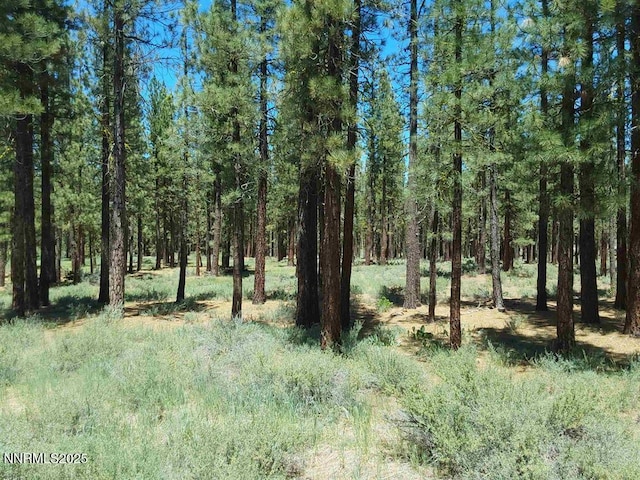 202 Village Trl Unit 36, Portola, CA 96122 - photo 2