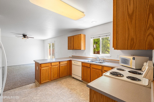 115 Calistoga Ct, Reno, NV 89508 - photo 7
