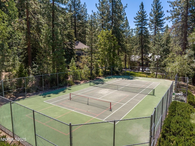 5 Kelly Cir, Glenbrook, NV 89413 - view of tennis court