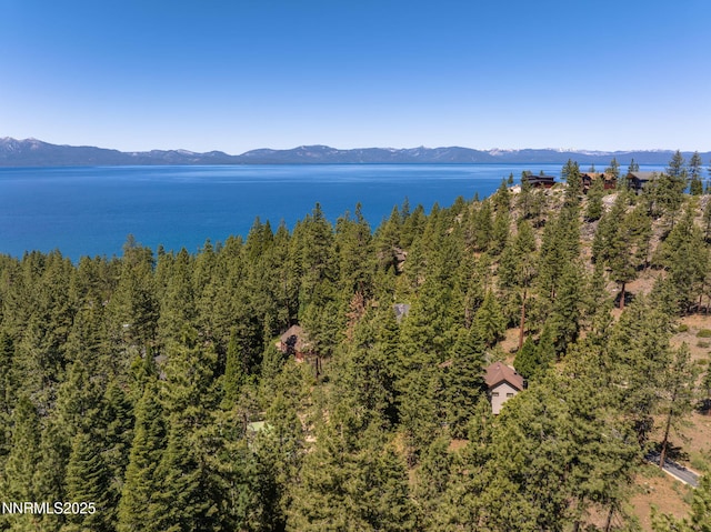 5 Kelly Cir, Glenbrook, NV 89413 - water view featuring a mountain backdrop