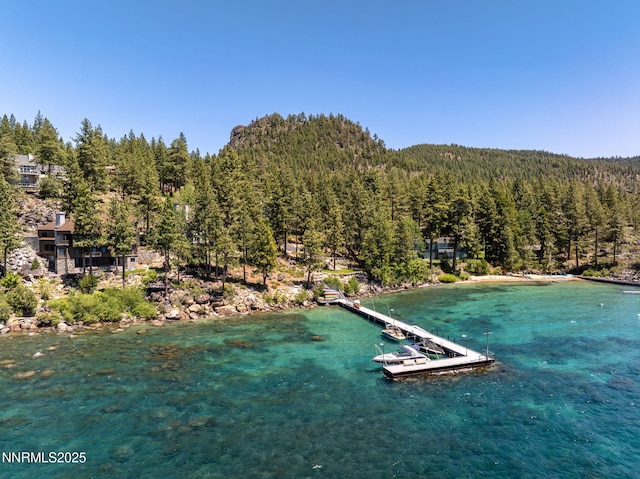 5 Kelly Cir, Glenbrook, NV 89413 - water view with a heavily wooded area