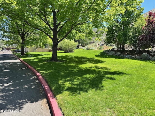 4066 Snowshoe Ln, Reno, NV 89502 - view of green lawn