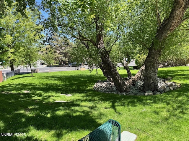 4066 Snowshoe Ln, Reno, NV 89502 - view of yard