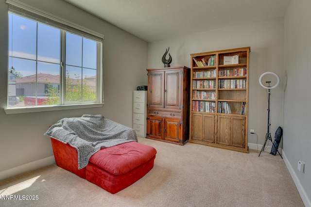 2617 Bridgetown Loop, Sparks, NV 89436 - photo 16