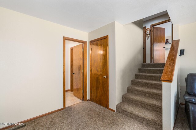 3597 Skyline View Dr, Reno, NV 89509 - staircase with carpet floors