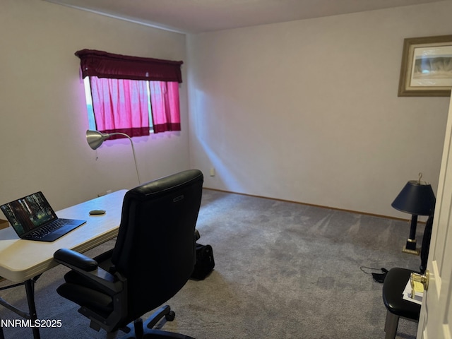 321 S W St, Yerington, NV 89447 - photo 4
