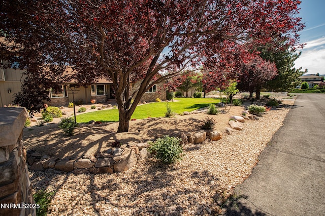 15045 Heathcliff Dr, Reno, NV 89511 - view of property hidden behind natural elements featuring a front yard and stone siding