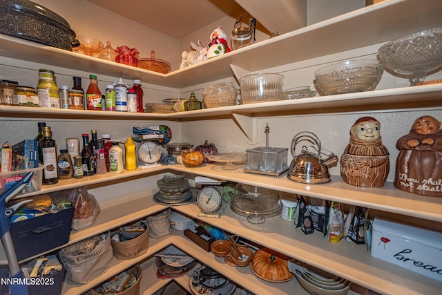 15045 Heathcliff Dr, Reno, NV 89511 - view of storage area