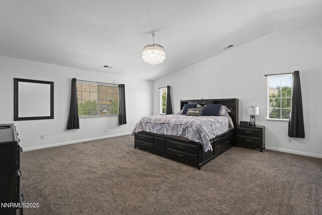 18204 Cedar View Dr, Reno, NV 89508 - photo 18